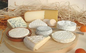 cheese-farms-3